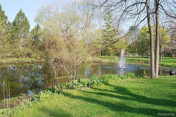 4949 Orion Road Rochester, MI 48306 - Photo 22 of 24 Pond view