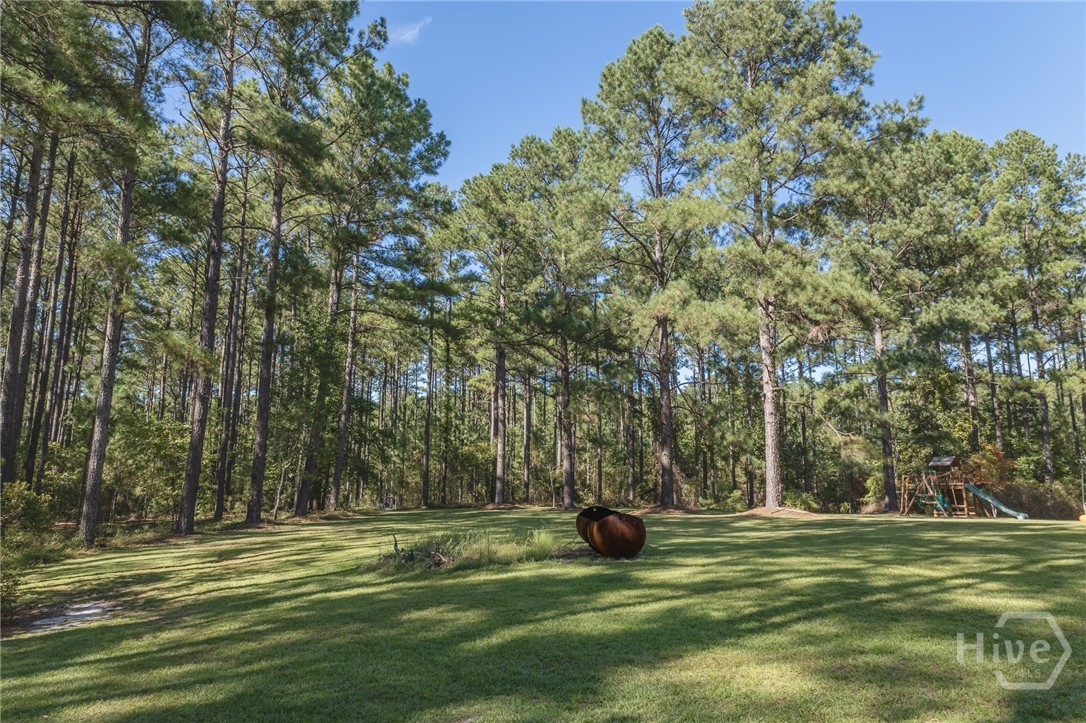 1412 Godbee Road Millen, GA 30442 - Photo 64 of 71 Gallery Image 64