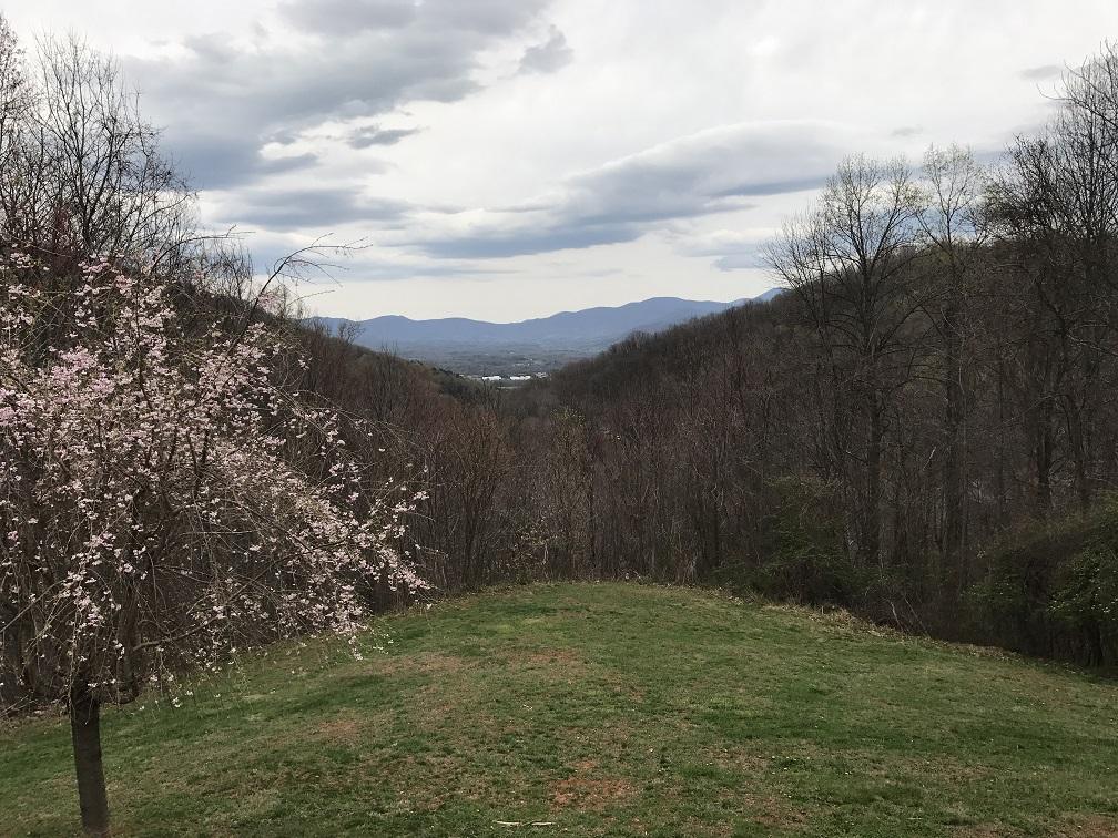 4120 Mountain View Church Road Blue Ridge, VA 24064 - Photo 22 of 41 April 2017 056
