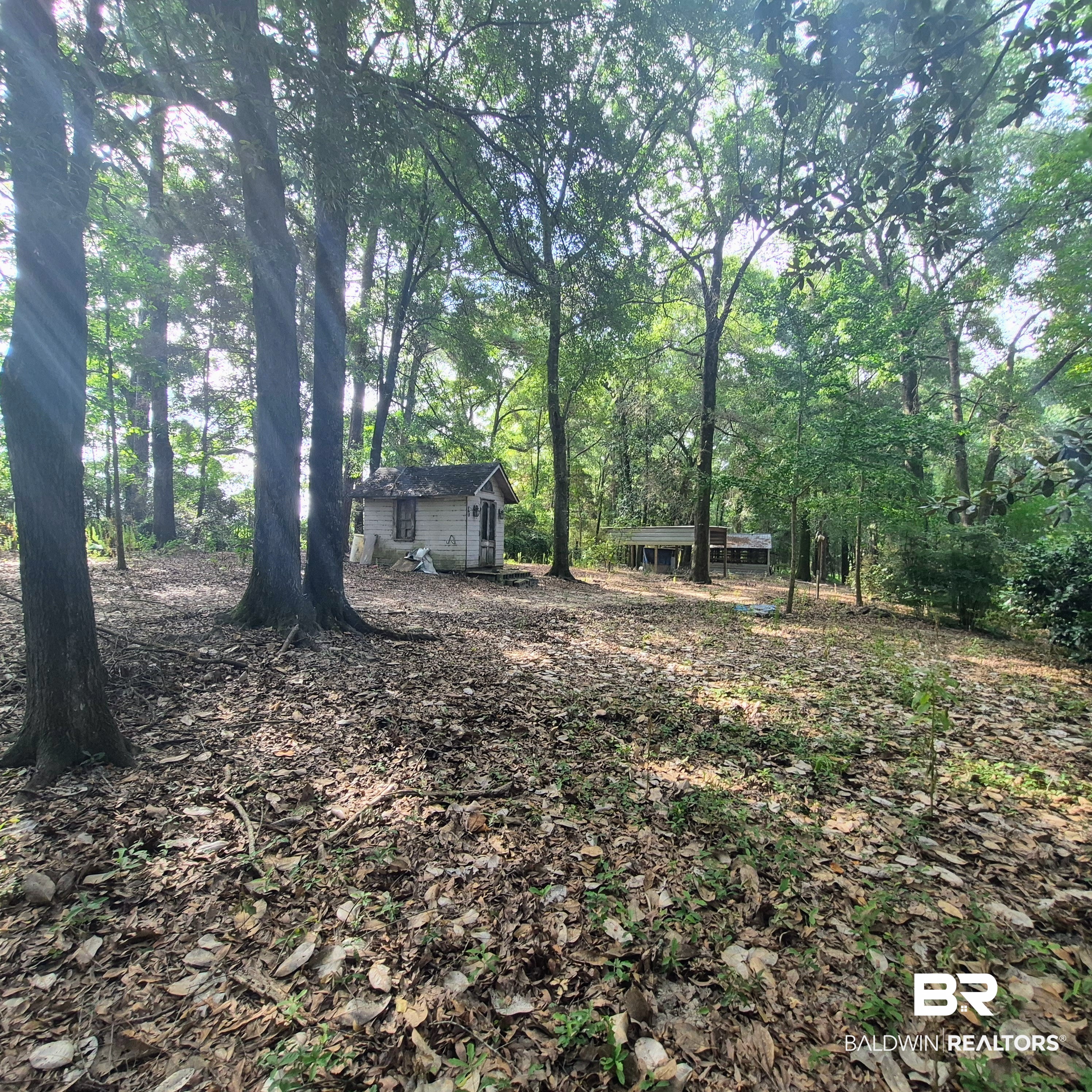 28080 Jim Foshee Road Red Level, AL 36474 - Photo 47 of 54 Gallery Image 47