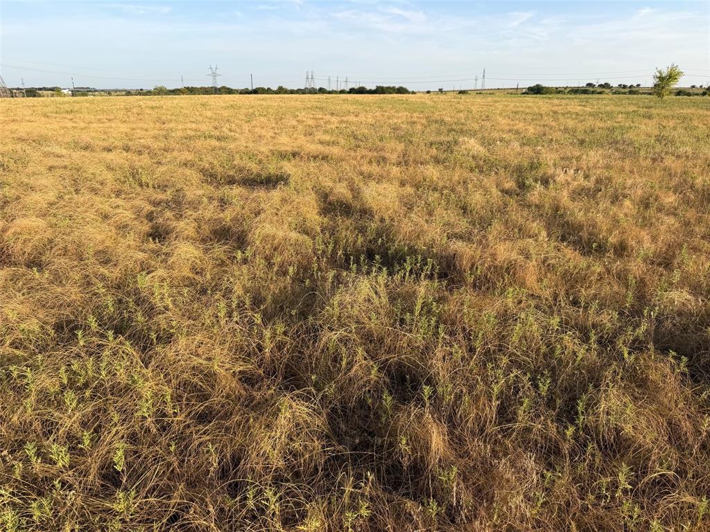 Tbd North Hickory Road Krum, TX 76249 - Photo 13 of 18 Gallery Image 13