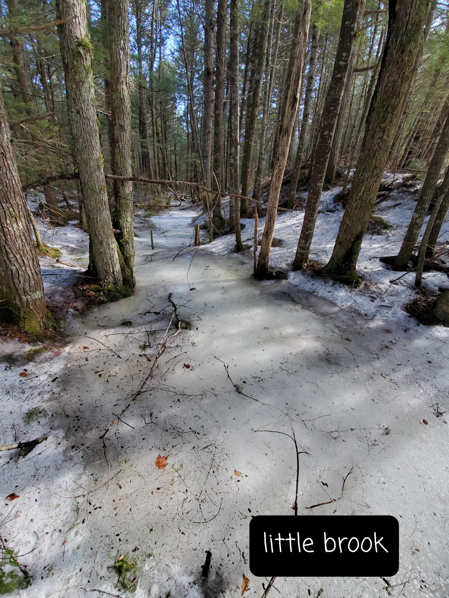 650 Red Pine Road Lakeville, ME 04487 - Photo 13 of 20 20220318_104012
