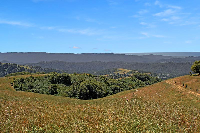 33 Langley Hill Road Woodside, CA 94062 - Photo 40 of 53 a view of a field with a mountain in the background