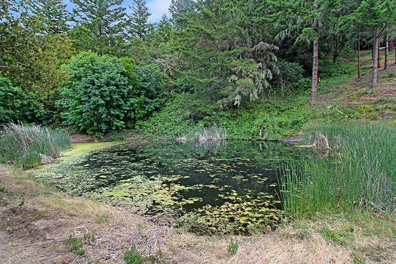 33 Langley Hill Road Woodside, CA 94062 - Photo 42 of 53 a view of a garden with a lake view