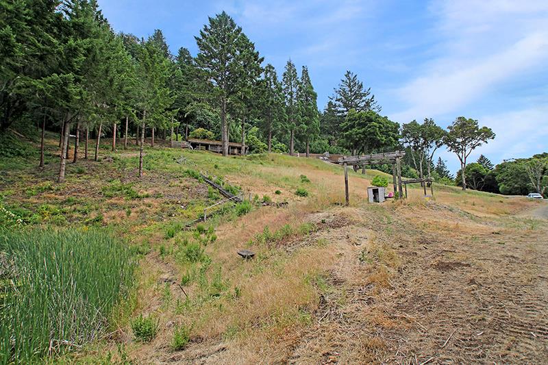 33 Langley Hill Road Woodside, CA 94062 - Photo 43 of 53 a view of a road with a yard