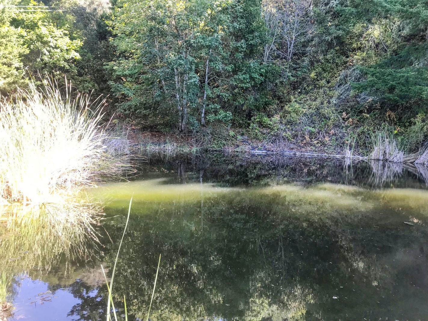 33 Langley Hill Road Woodside, CA 94062 - Photo 46 of 53 a view of lake background with outdoor space