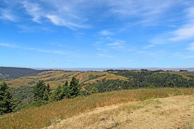 a view of yard with outdoor space