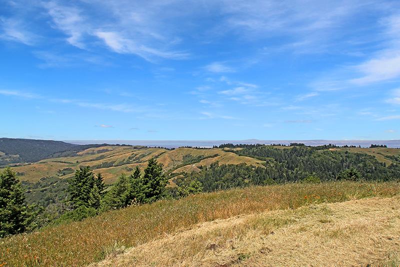 33 Langley Hill Road Woodside, CA 94062 - Photo 49 of 53 a view of lake with mountain