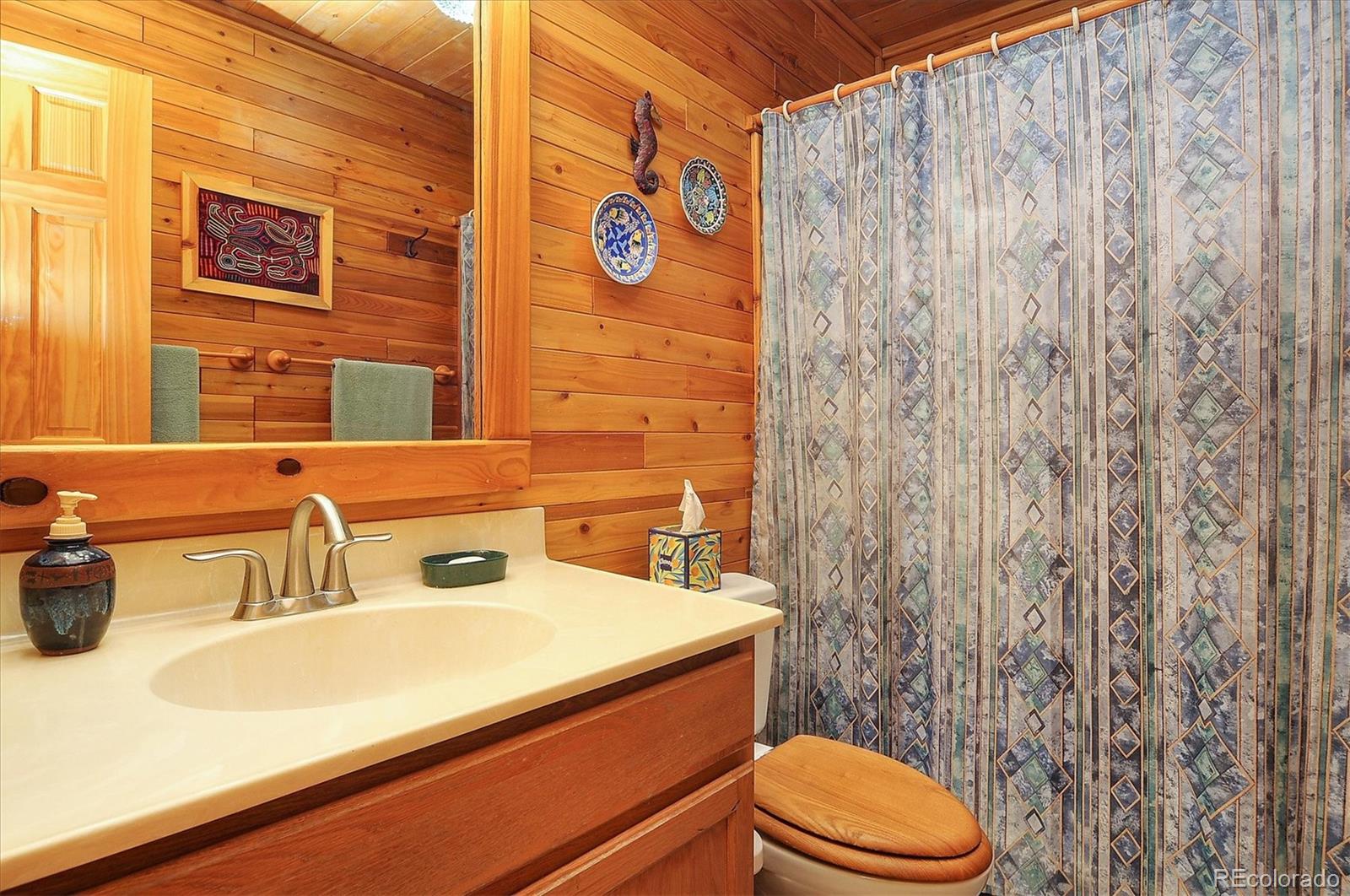 1111 Red Feather Road Cotopaxi, CO 81223 - Photo 18 of 37 a bathroom with a sink a toilet and a mirror