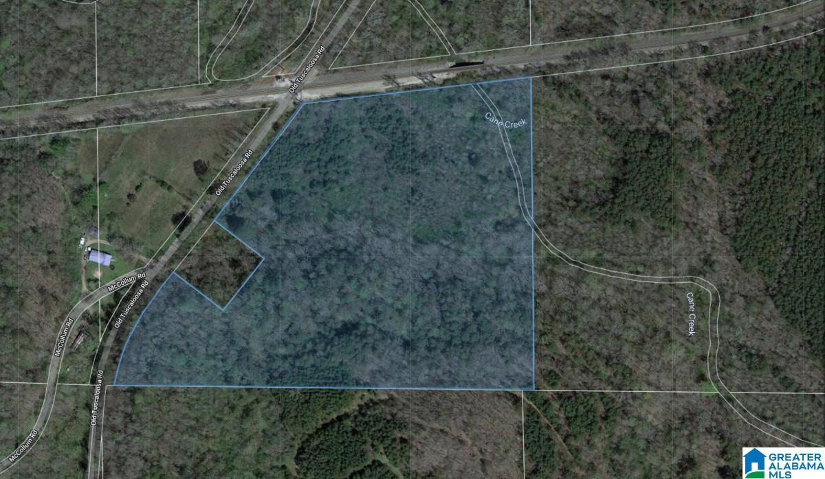 0 Old Tuscaloosa Road Jasper, AL 35501 - Photo 12 of 12