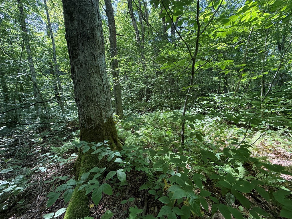 V/l Beaver Creek Road Redfield, NY 13437 - Photo 24 of 35 Gallery Image 24
