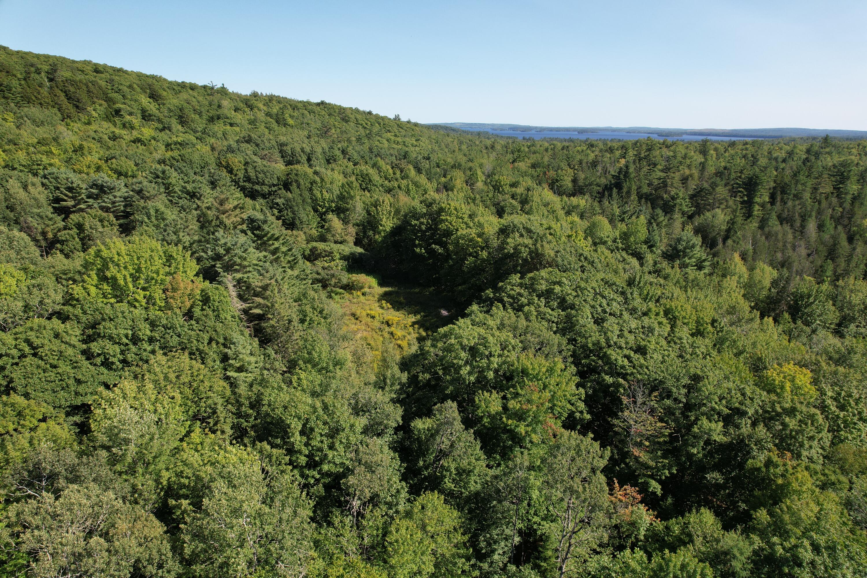 Lot 53 Robb Hill Road Alexander, ME 04694 - Photo 25 of 29 DJI_0066