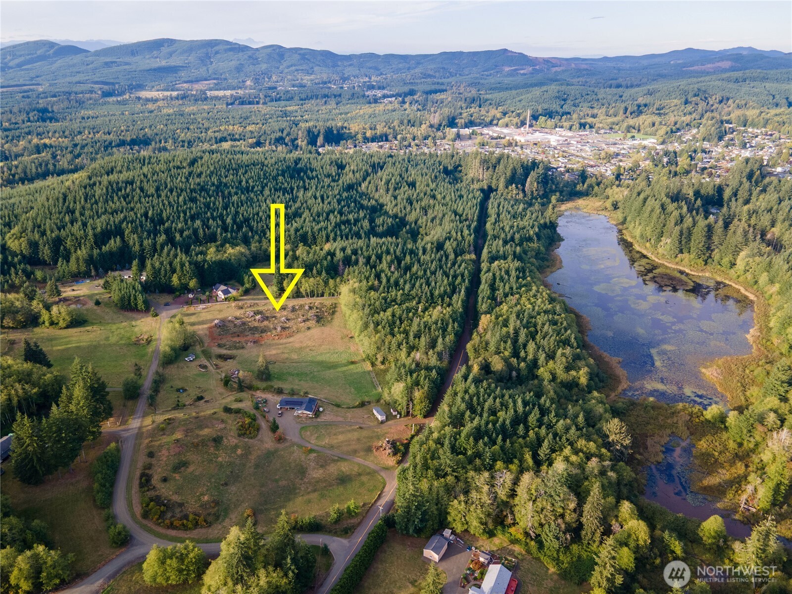 18 Overlake Lane McCleary, WA 98557 - Photo 11 of 25 a view of a garden with mountains in the background