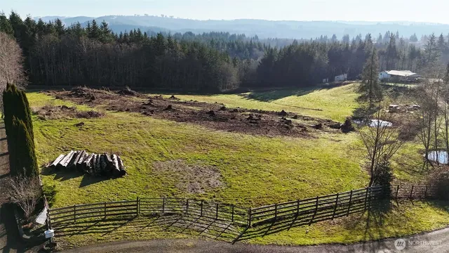 a view of a yard with trees