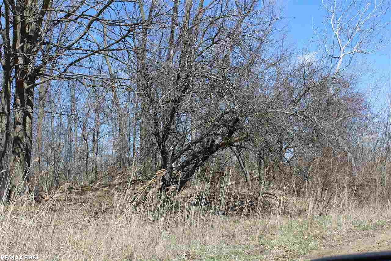 0 Connell Road Yale, MI 48097 - Photo 9 of 22
