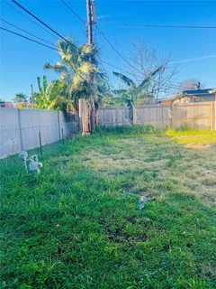 a view of a backyard with plants