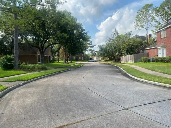 a view of a park with large trees
