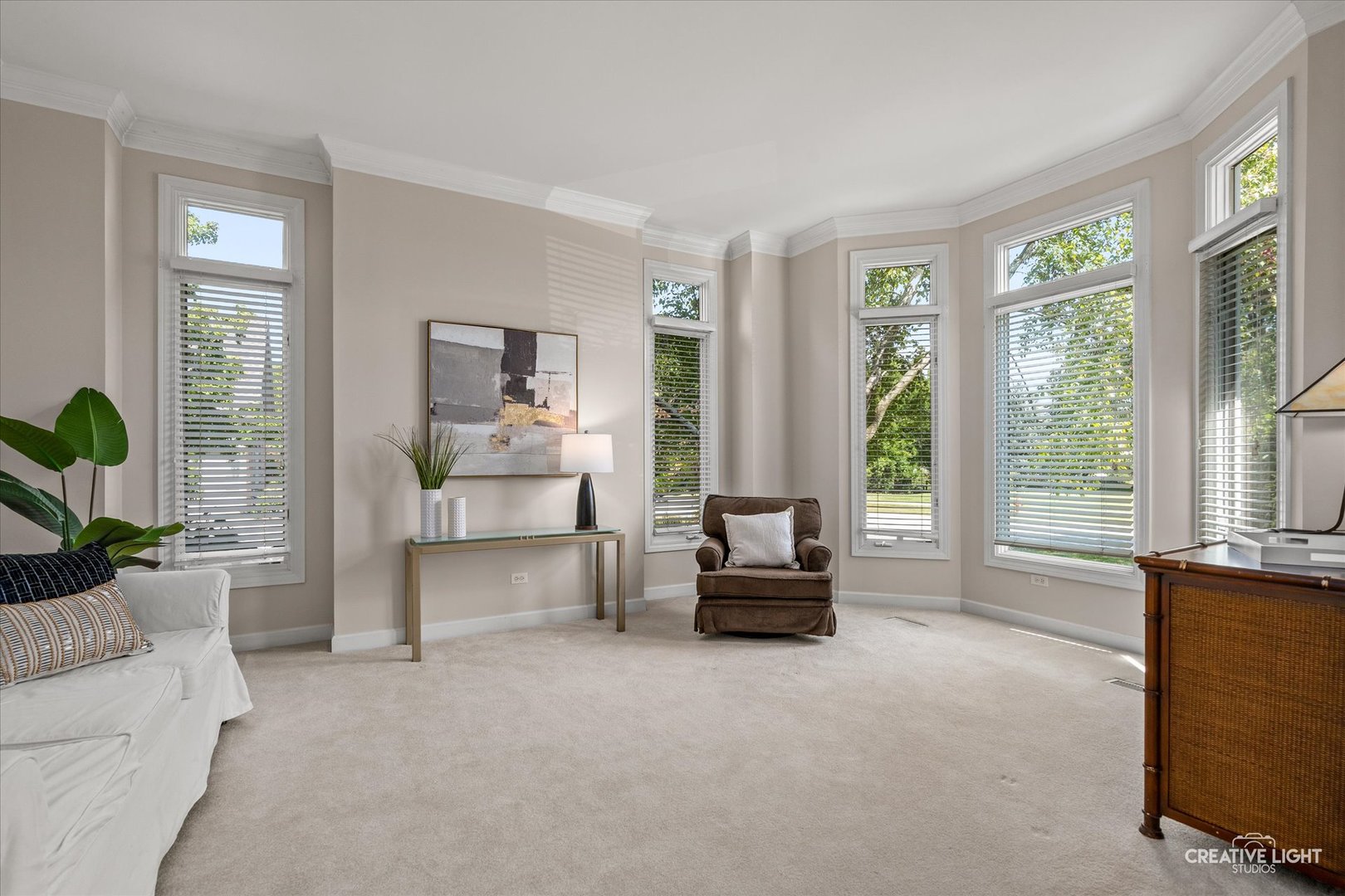 4811 Sebastian Court Naperville, IL 60564 - Photo 11 of 49 a living room with furniture and a large window