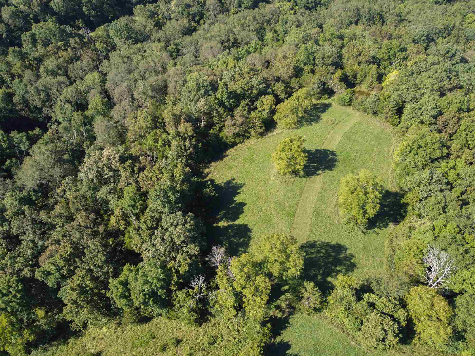 8690 A Jonesville Road Dry Ridge, KY 41035 - Photo 8 of 15