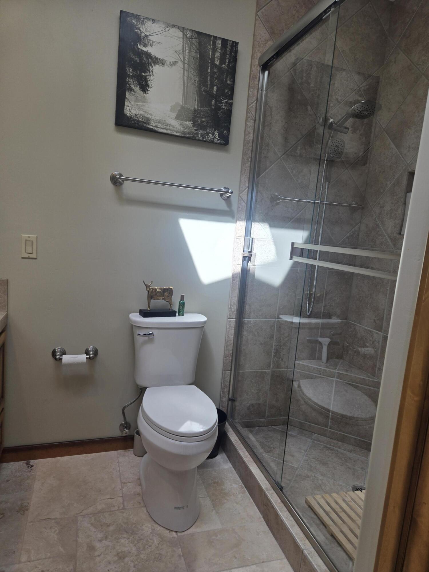 2908 East Rim Club Drive Payson, AZ 85541 - Photo 26 of 77 a bathroom with a toilet and a shower
