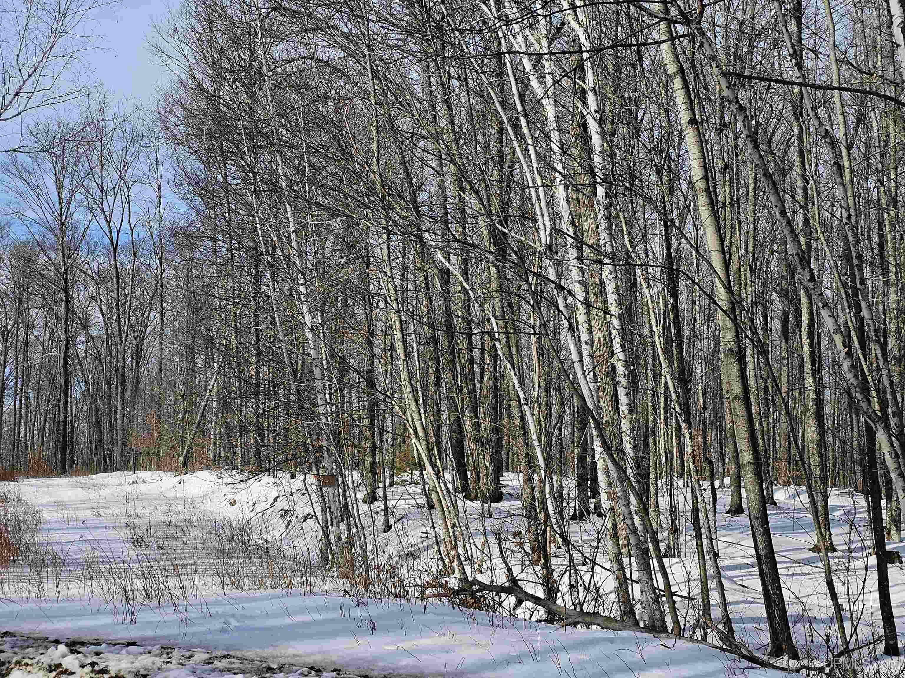 Tbd Little Bear Road Iron River, MI 49935 - Photo 2 of 8