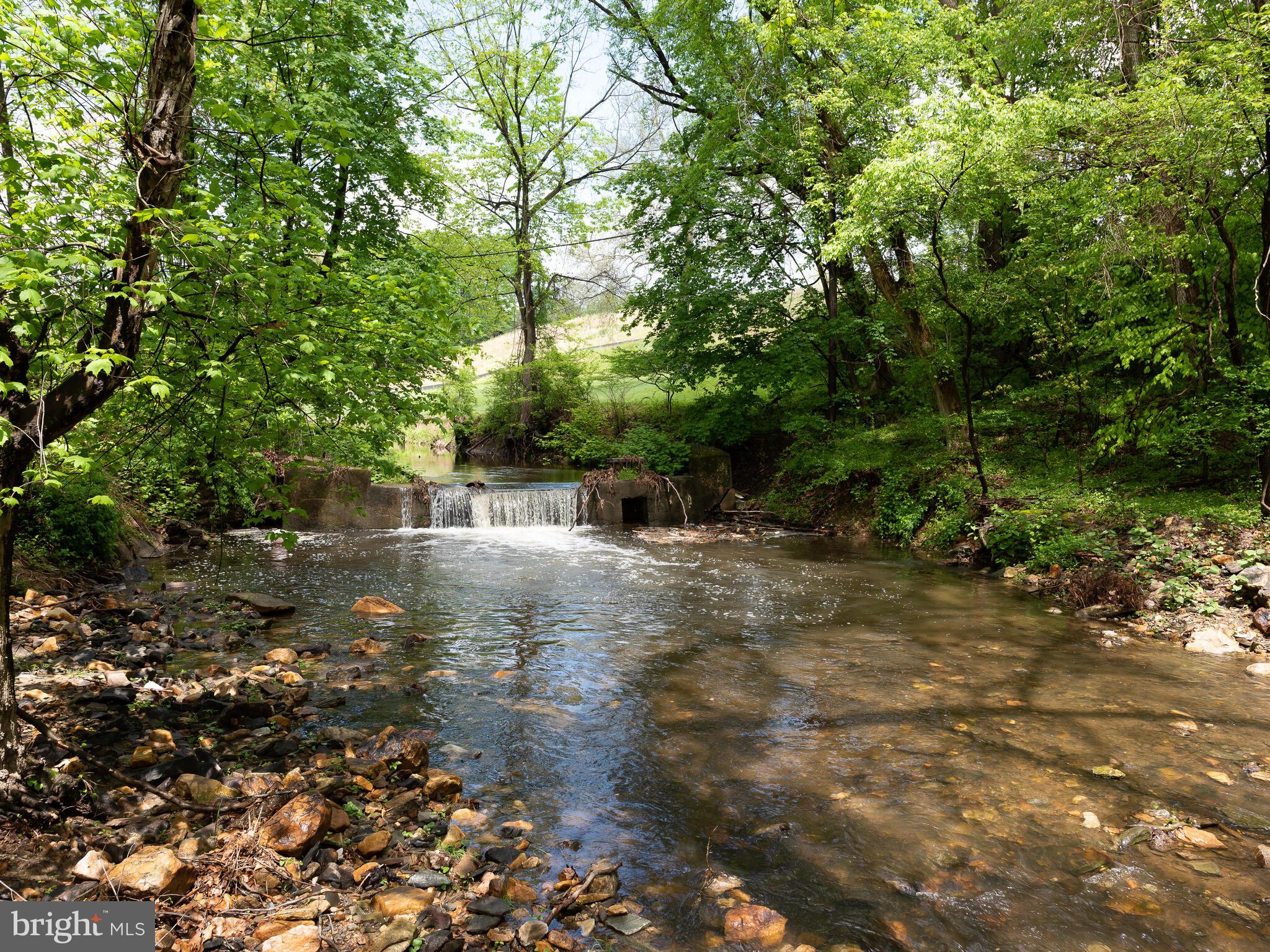 896 Palmers Mill Road Media, PA 19063 - Photo 59 of 61 Creek along property