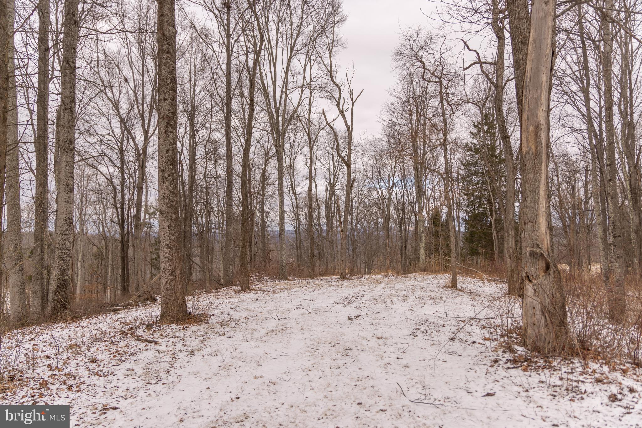 5344 Back Valley Road Lindside, WV 24951 - Photo 31 of 44 Gallery Image 31