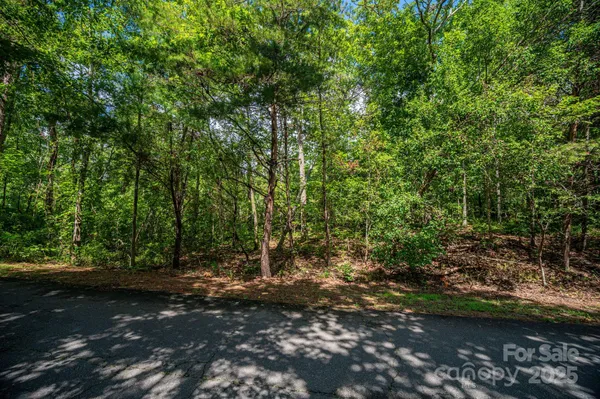 a view of a forest with trees