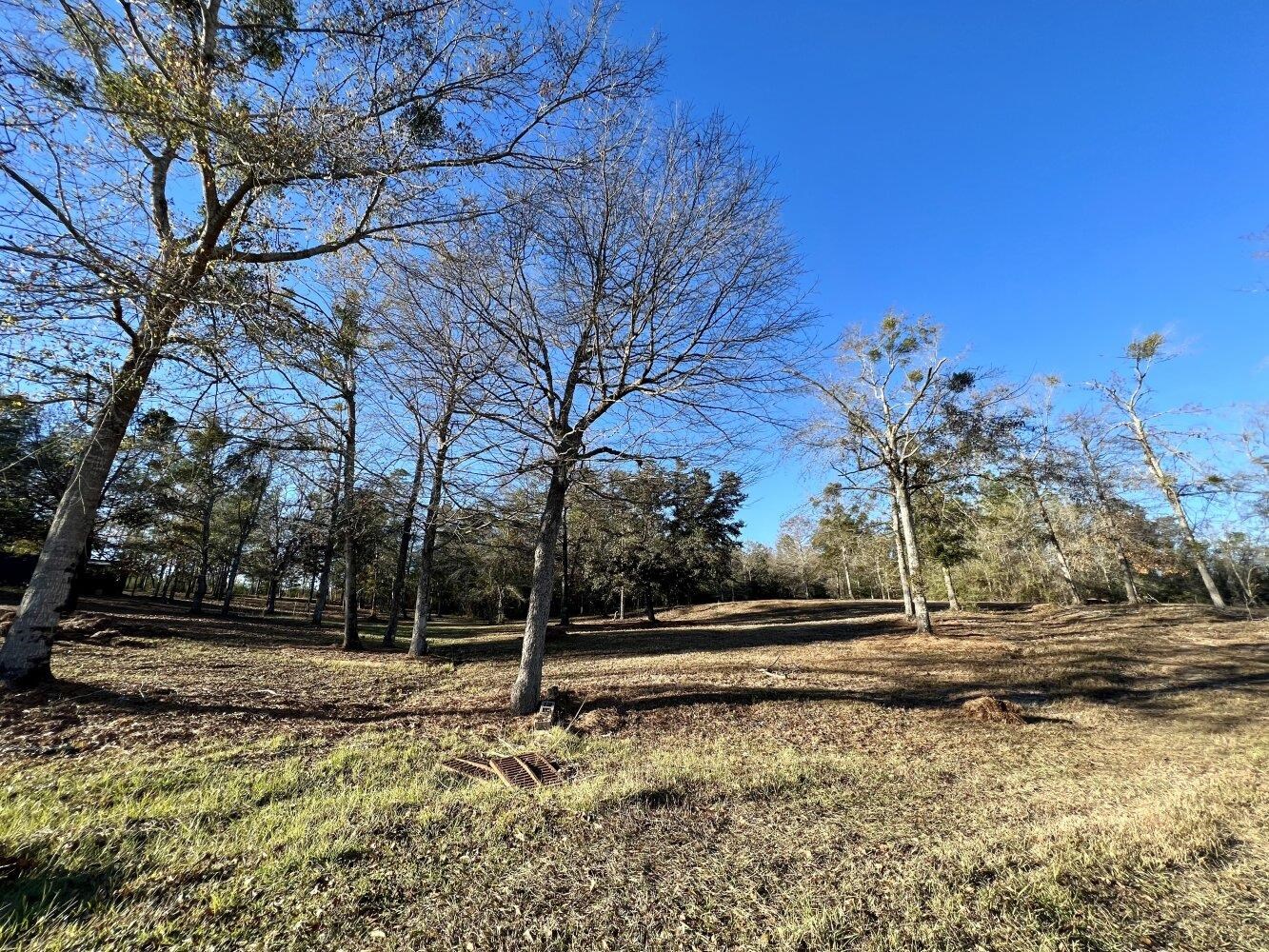 12340 Tall Pine Road Bay Minette, AL 36507 - Photo 5 of 50