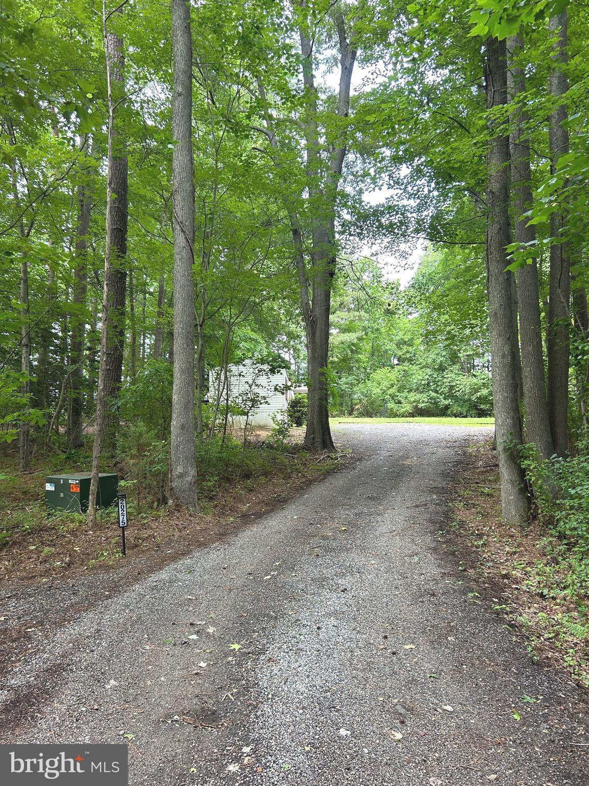 20275 Jackson Road Callaway, MD 20620 - Photo 1 of 7 a view of a forest with trees in the background