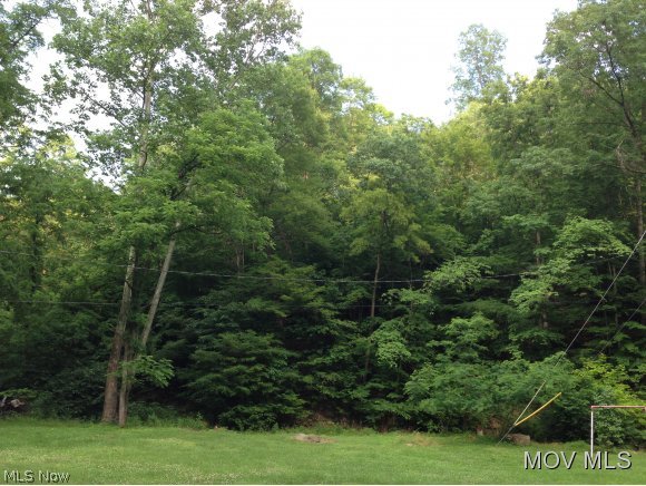 826 Long Run Road Waverly, WV 26184 - Photo 17 of 21 Beginning of Wooded Acreage