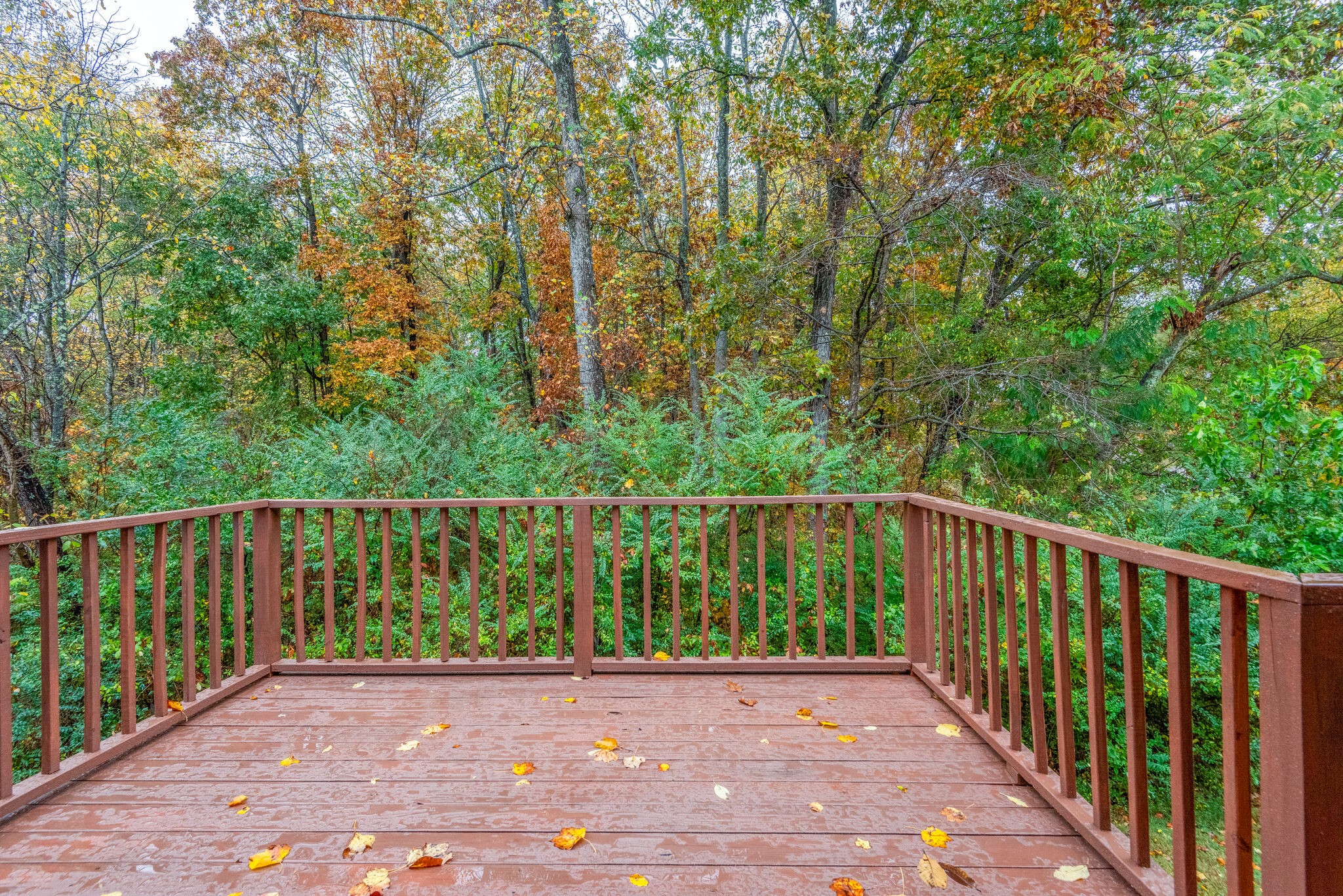 407 Blue Road Dickson, TN 37055 - Photo 25 of 29 Gallery Image 25