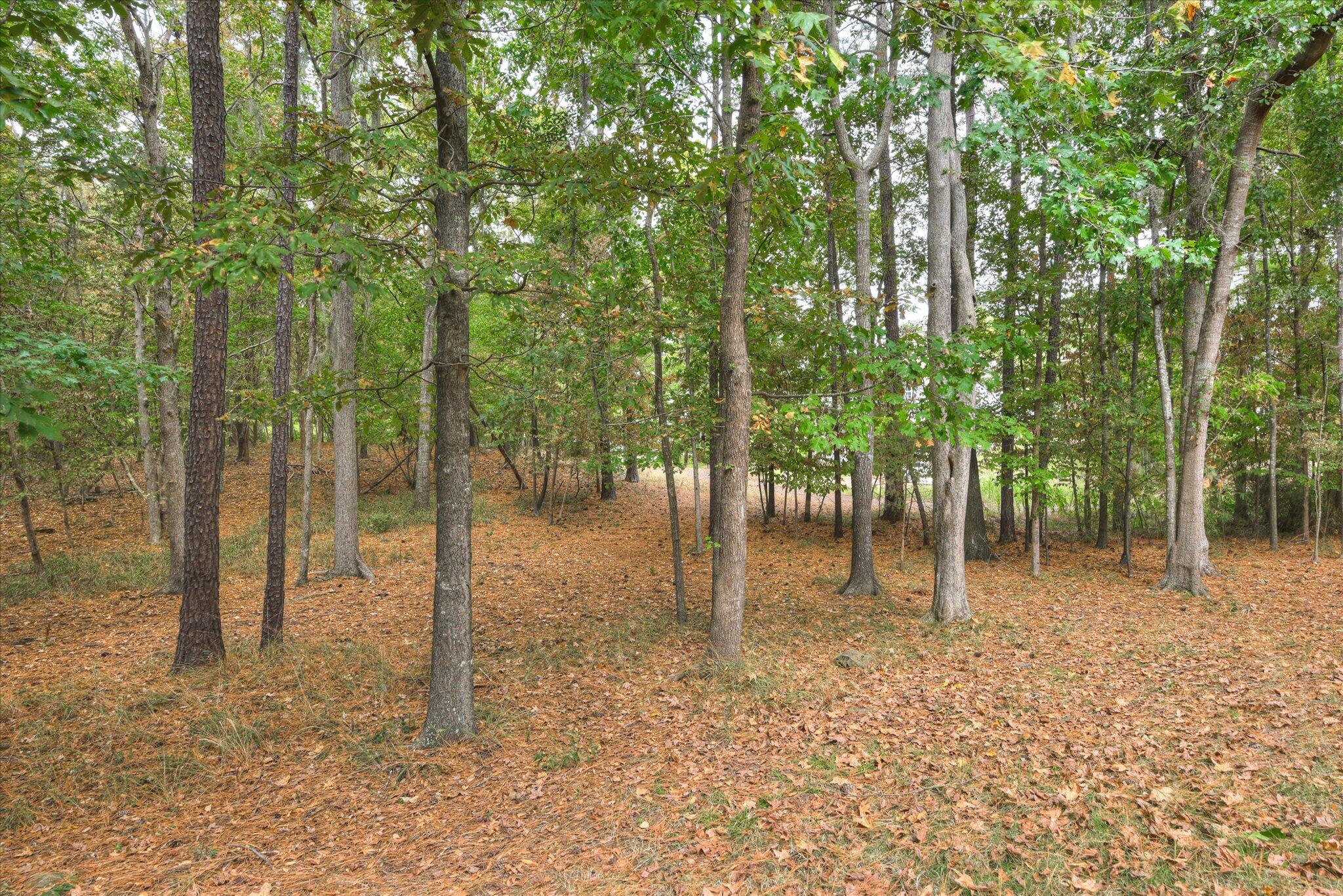 220 Osprey Point North Augusta, SC 29841 - Photo 62 of 75 220 Osprey (66)