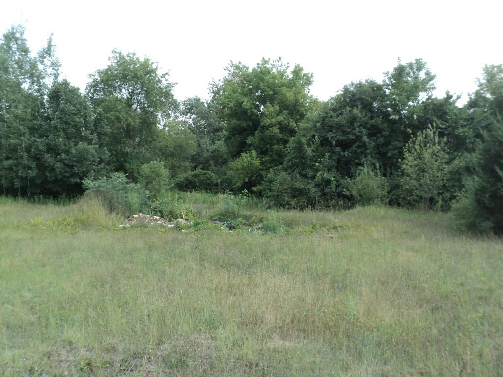 11510 East Stanton Road Sumner, MI 48889 - Photo 38 of 40 1851472-37.JPG