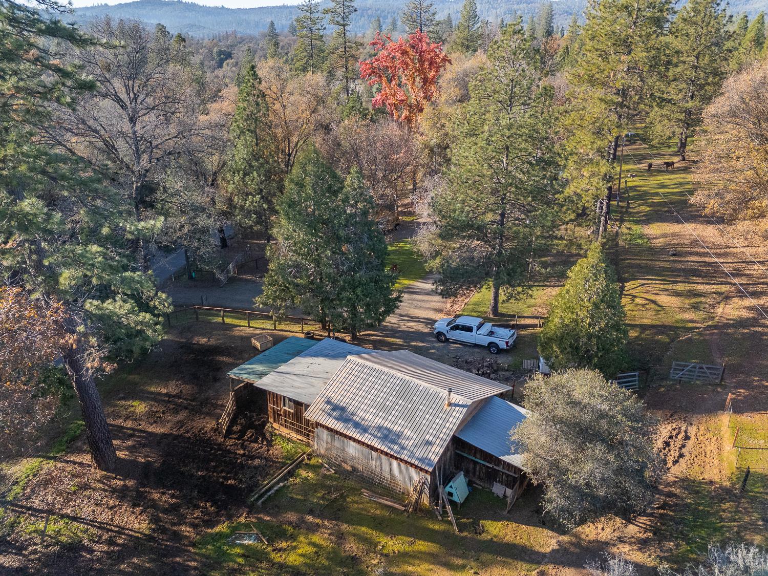10095 Frenchtown Dobbins Road Dobbins, CA 95935 - Photo 30 of 46 a view of a yard with plants