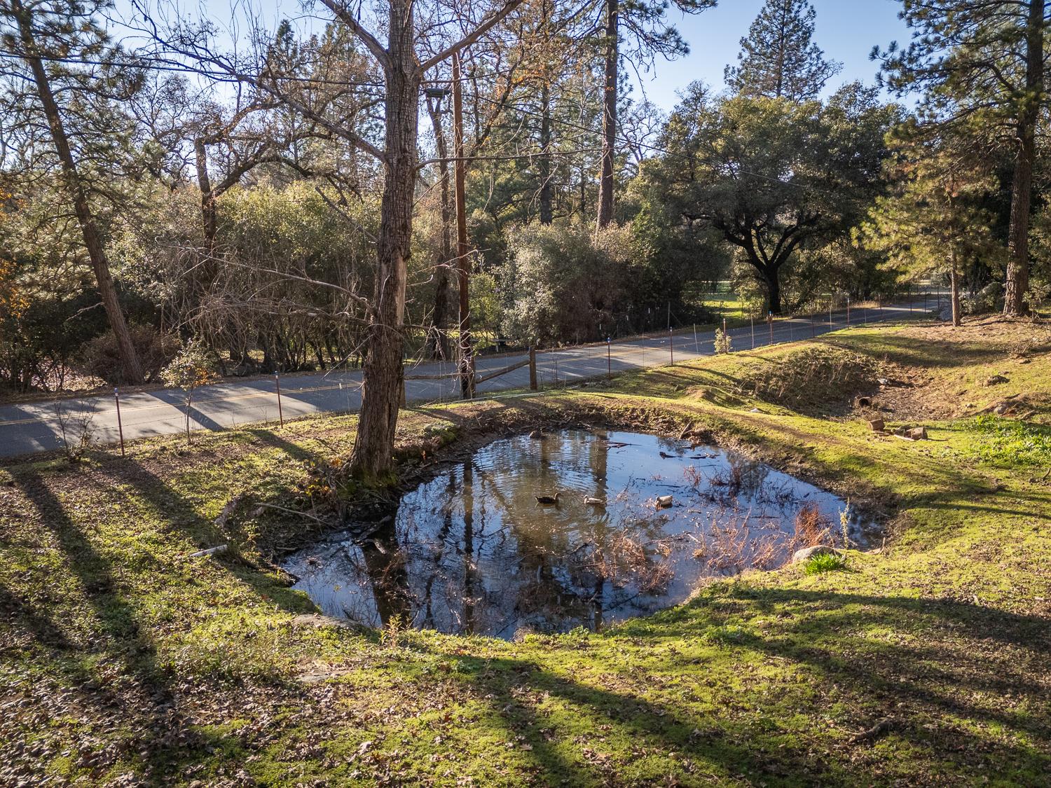 10095 Frenchtown Dobbins Road Dobbins, CA 95935 - Photo 40 of 46 a view of a yard with swimming pool