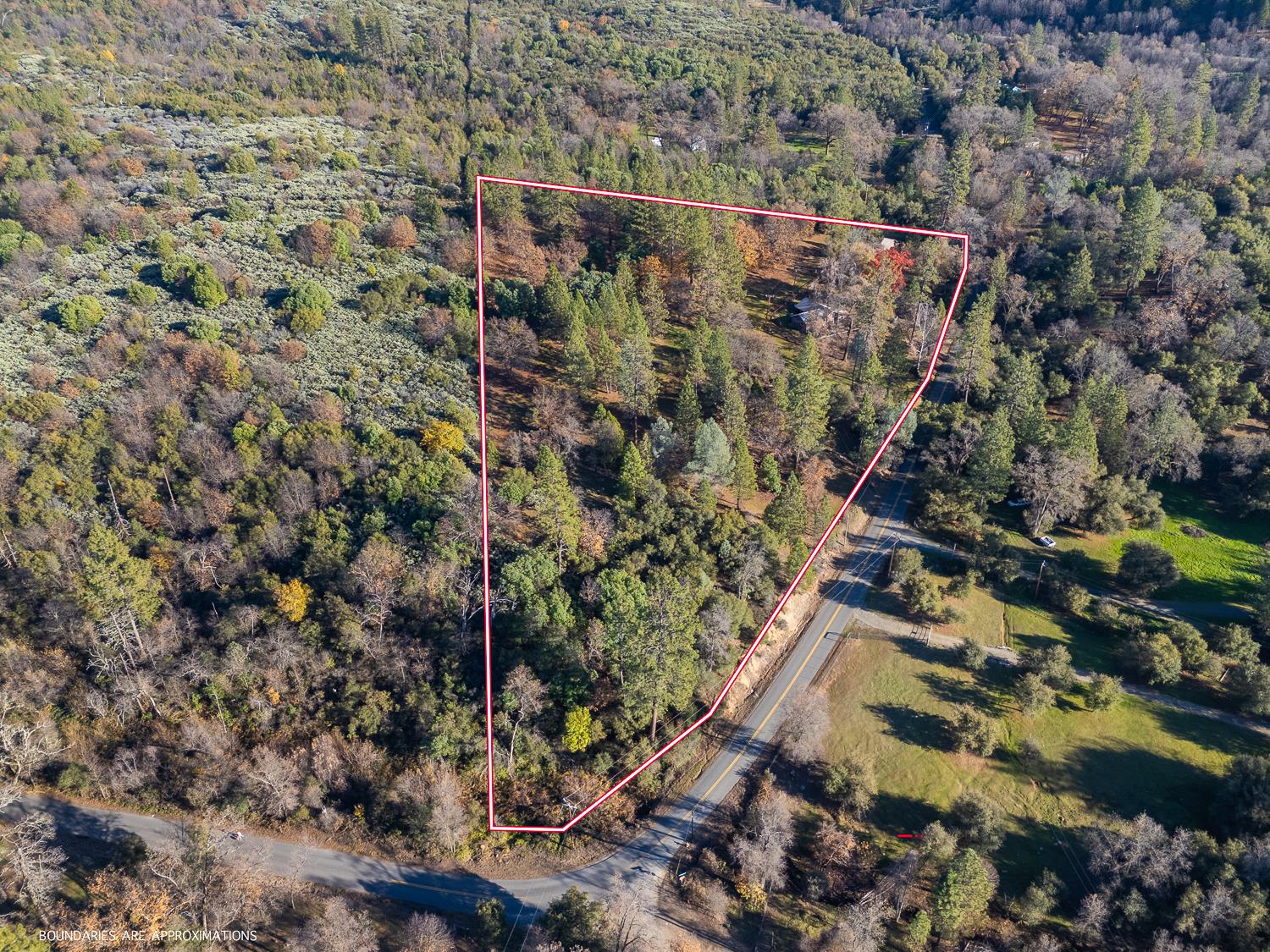 10095 Frenchtown Dobbins Road Dobbins, CA 95935 - Photo 42 of 46 a view of a pathway with a tree