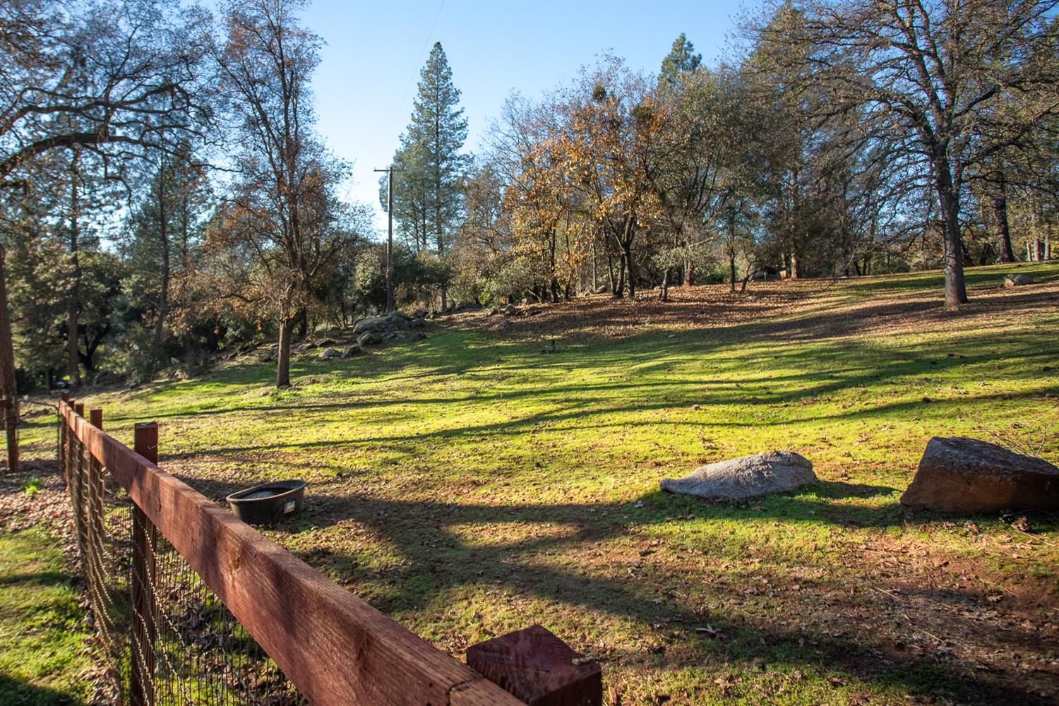 10095 Frenchtown Dobbins Road Dobbins, CA 95935 - Photo 43 of 46 a view of swimming pool with a slide and trees