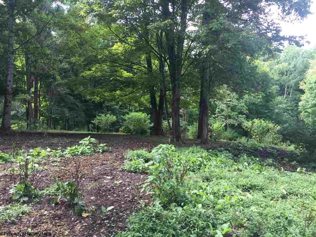 1897 Spruce Fork Road Buckhannon, WV 26201 - Photo 20 of 20 Gallery Image 20