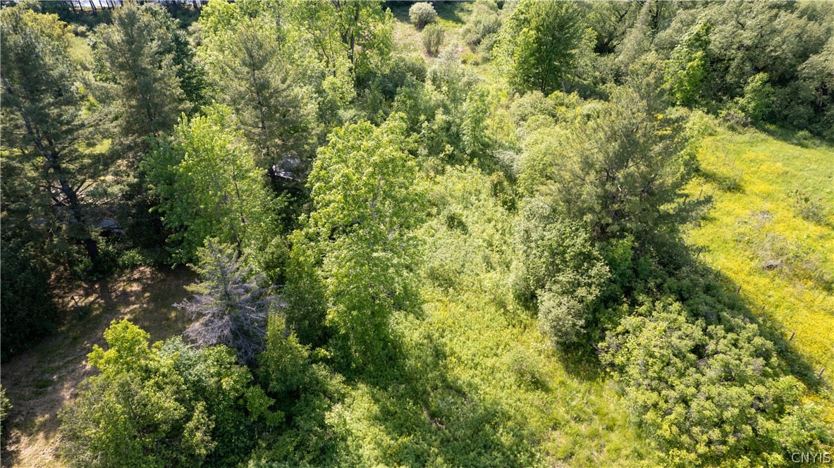 33583 Broadwell Road Theresa, NY 13691 - Photo 13 of 14