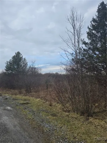 $25,000 | 33583 Broadwell Road, Theresa, NY 13691