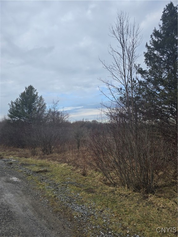 33583 Broadwell Road Theresa, NY 13691 - Photo 14 of 14