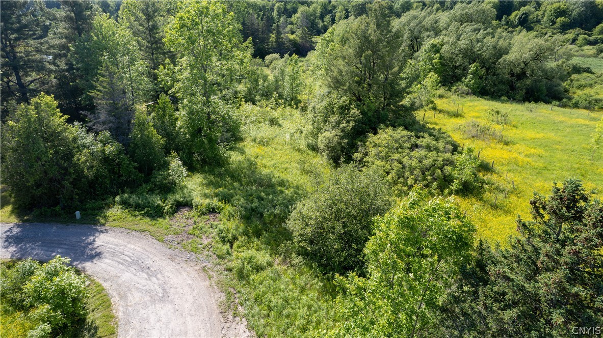 33583 Broadwell Road Theresa, NY 13691 - Photo 3 of 14