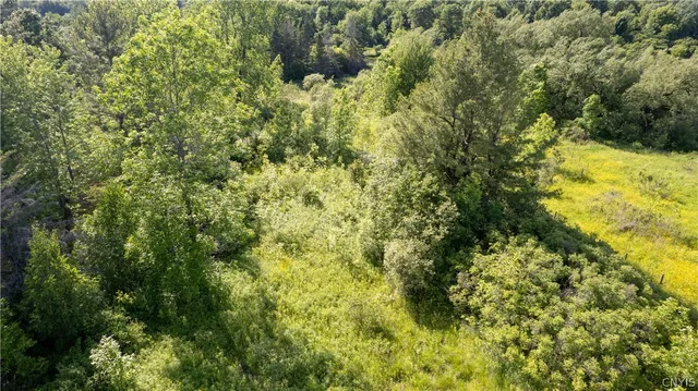 $25,000 | 33583 Broadwell Road, Theresa, NY 13691