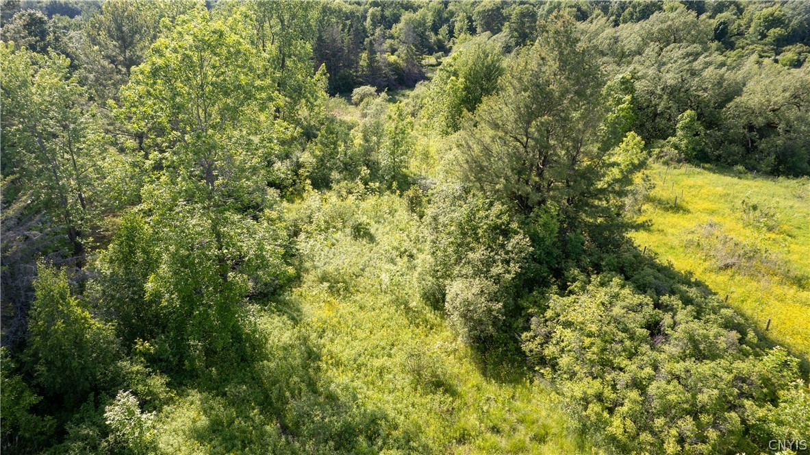 33583 Broadwell Road Theresa, NY 13691 - Photo 5 of 14