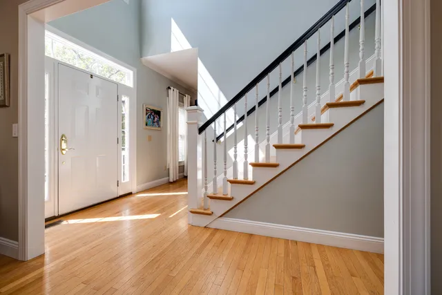 a view of a backyard with potted plants and large tree