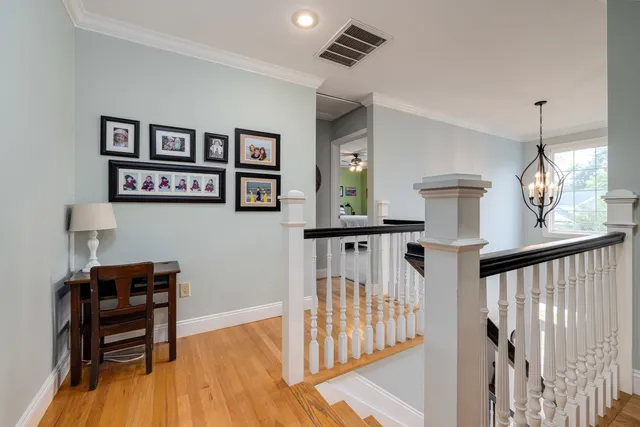 a view of a backyard with plants and large trees