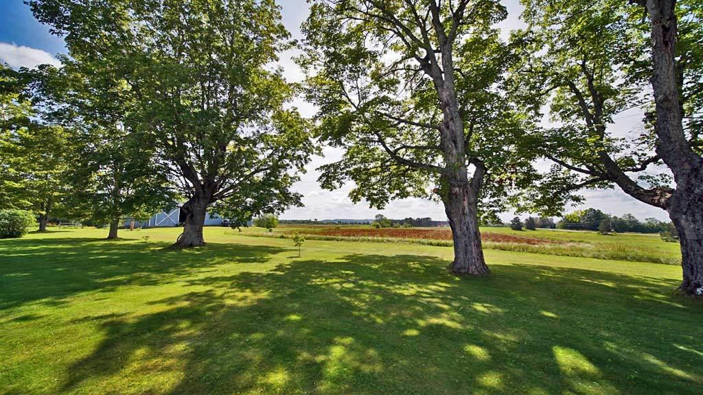 324 Calais Road Houlton, ME 04730 - Photo 27 of 83 324-calais-rd-hodgdon-77