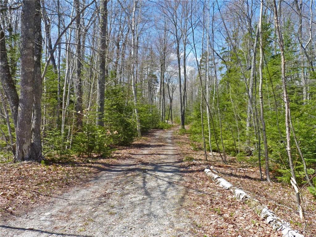 Lot 5-6 Tannery Brook Road Ellsworth, ME 04605 - Photo 11 of 13 Photo