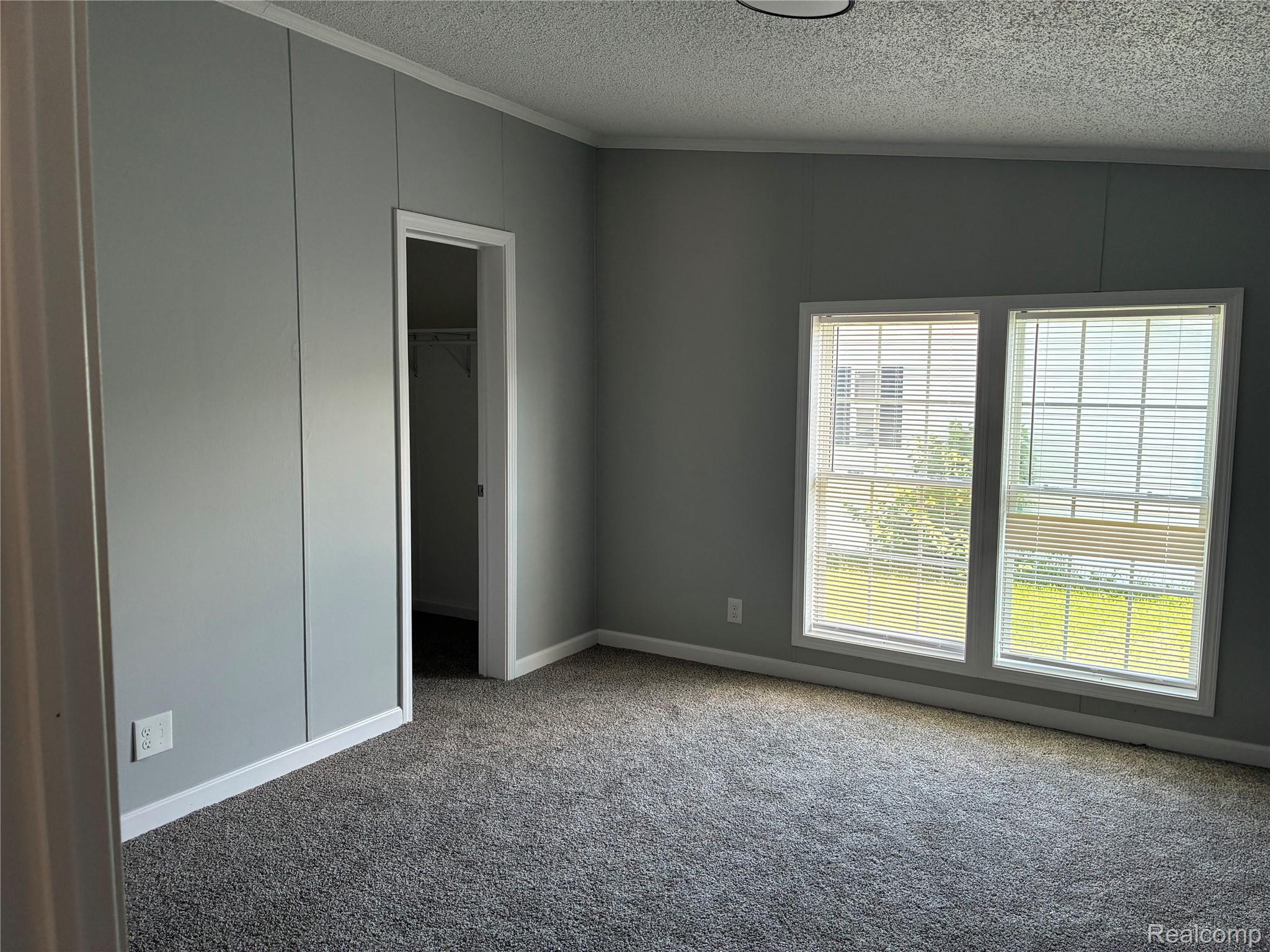 420 Hidden Ridge Road Morrice, MI 48857 - Photo 16 of 16 Unfurnished bedroom featuring a textured ceiling, a walk in closet, carpet, and ornamental molding